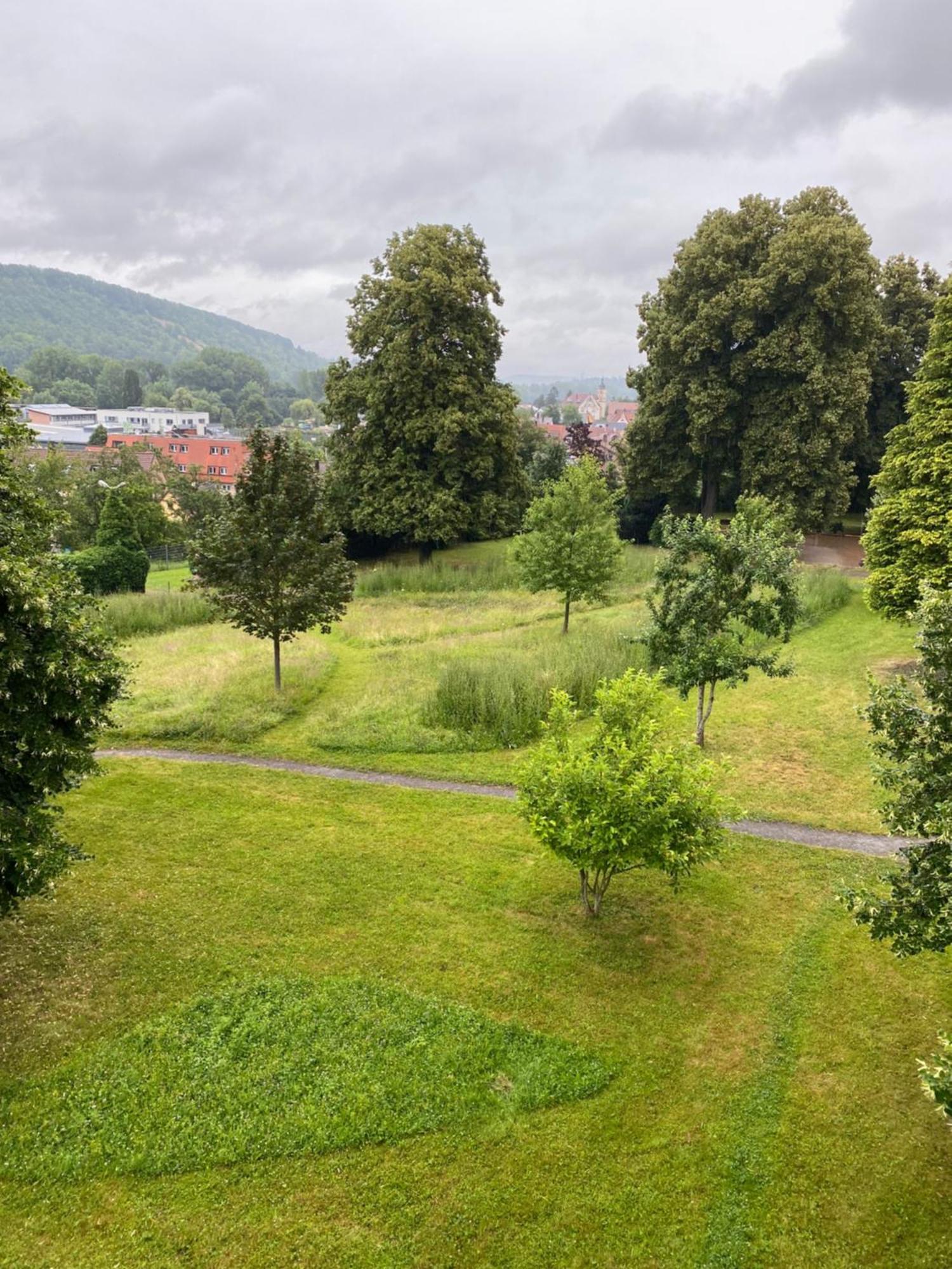 Einzimmer Apartment Ниферн-Эшельбронн Экстерьер фото